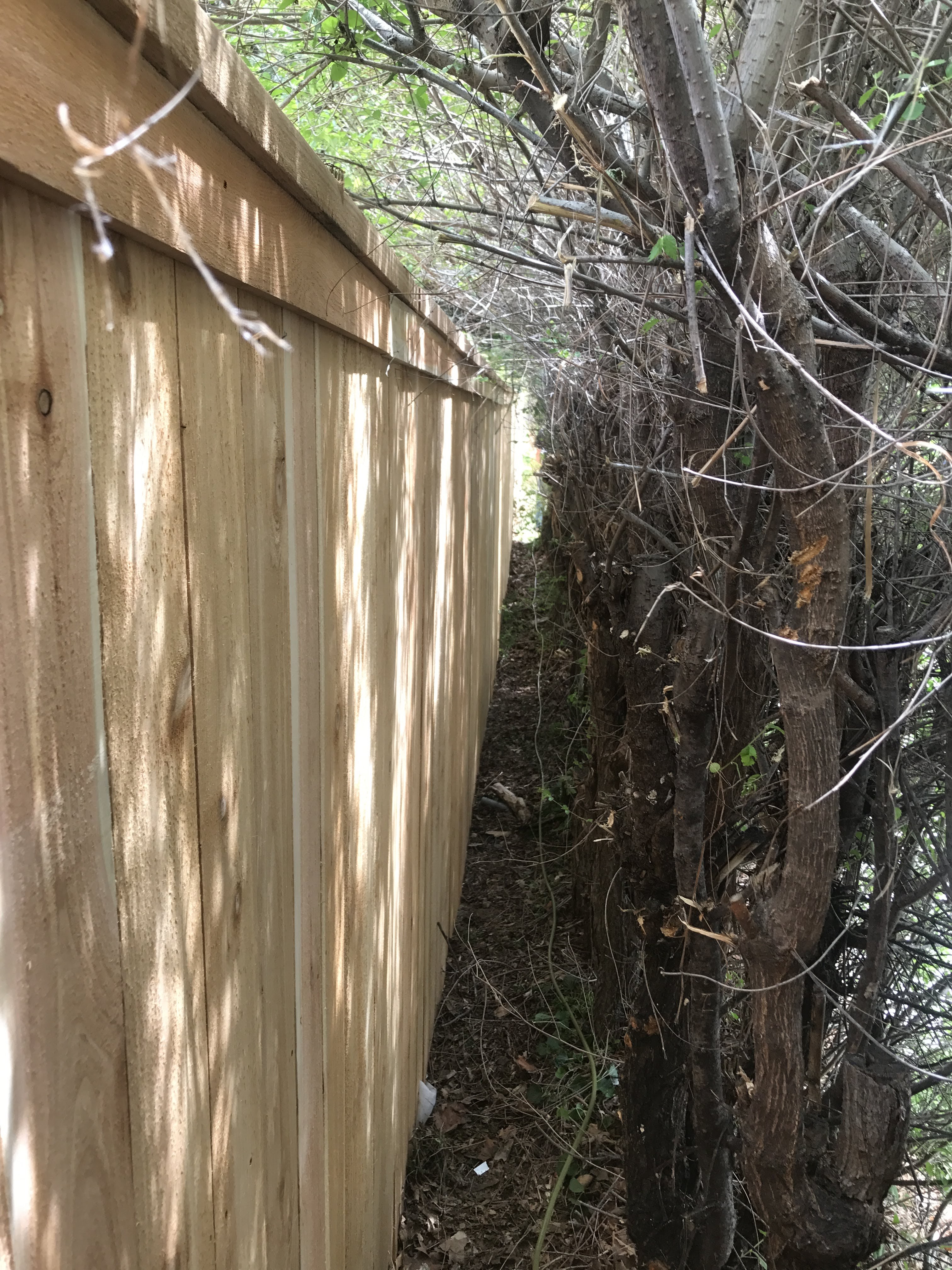 Comparing Fencing Materials